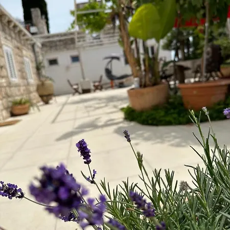 Lomara Casa de hóspedes 3*