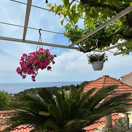 Casa de hóspedes Lomara